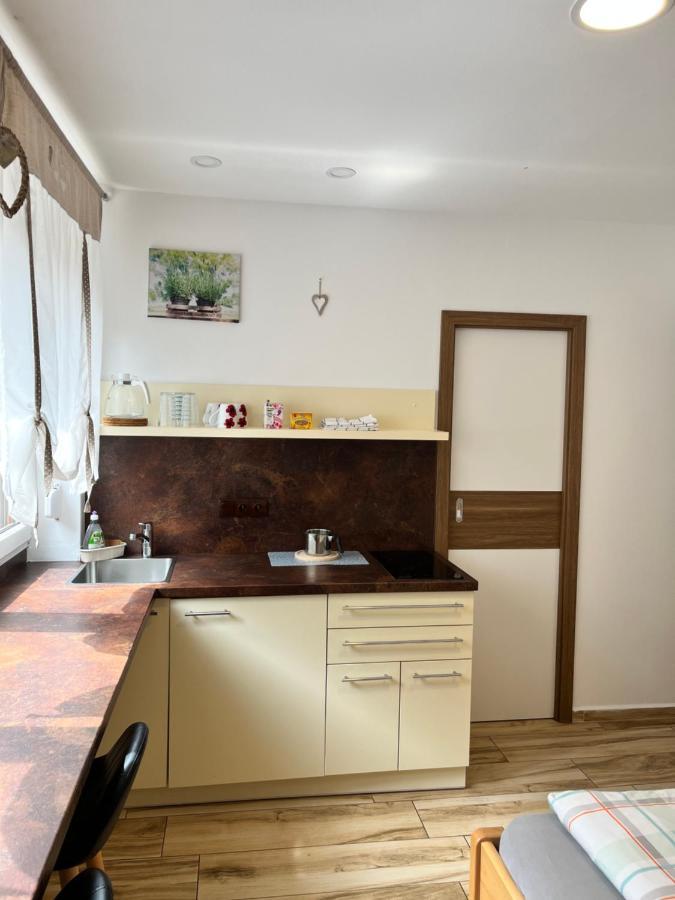 Apartmany Sumavska Чески-Крумлов Экстерьер фото